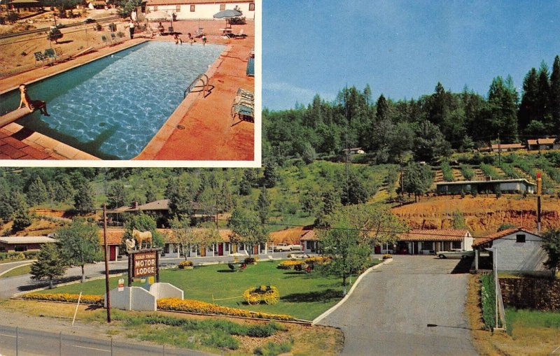 GOLD TRAIL MOTOR LODGE Placerville, CA Roadside Swimming Pool c1960s Postcard