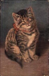 Cute Kitten - Red Ribbon - M. Stacks c1910 Postcard