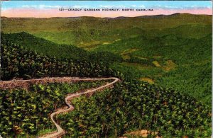 Postcard HIGHWAY SCENE Asheville North Carolina NC AM2572