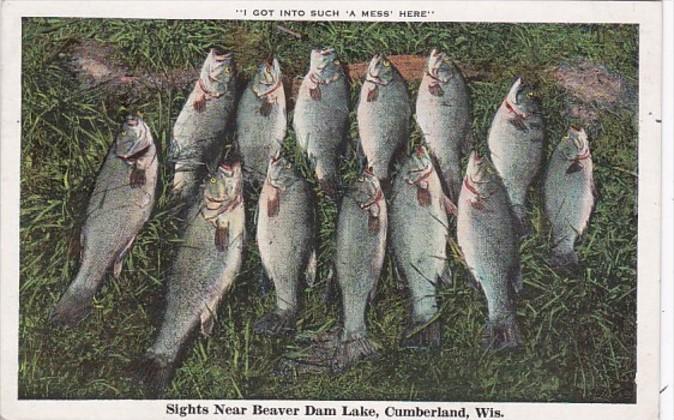 Fishing Day's Catch Sights Near Beaver Dam Lake Cumberland Wisconsin 1932