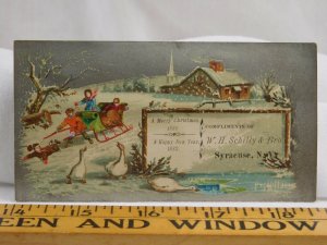 Christmas New Year Trade Card W H Schilly & Bros Children Sleigh White Ducks F38