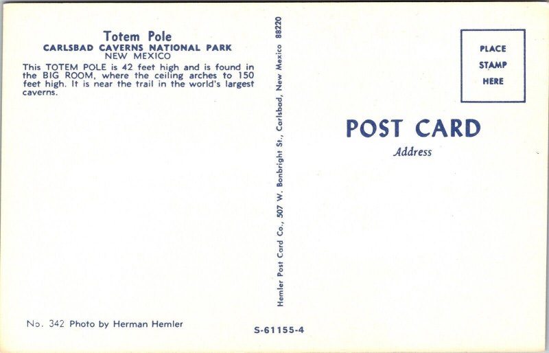 Totem Pole Carlsbad Caverns National Park New Mexico NM Postcard VTG UNP Vintage 