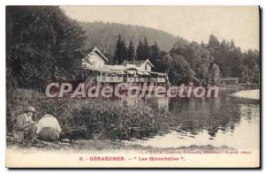 Old Postcard Gerardmer The Swallows