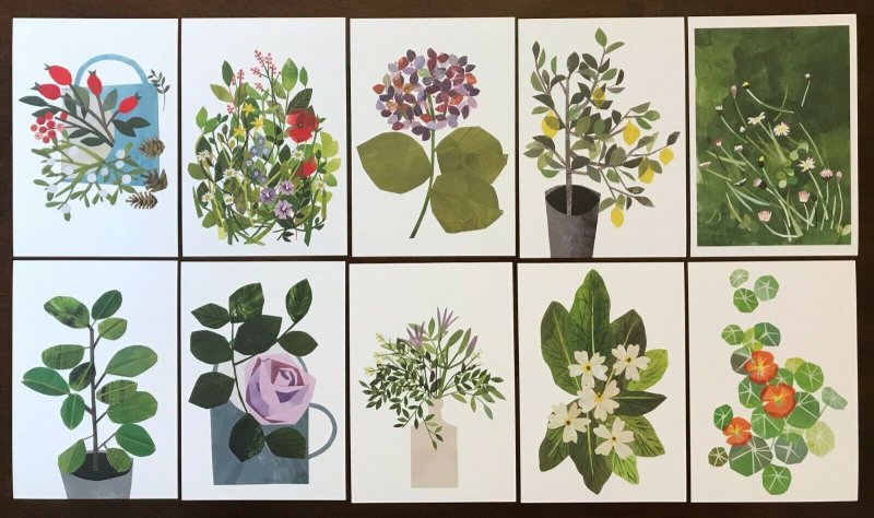 Lot of 10 Beautiful Flower Floral Art Postcards by Artist Clover Robin