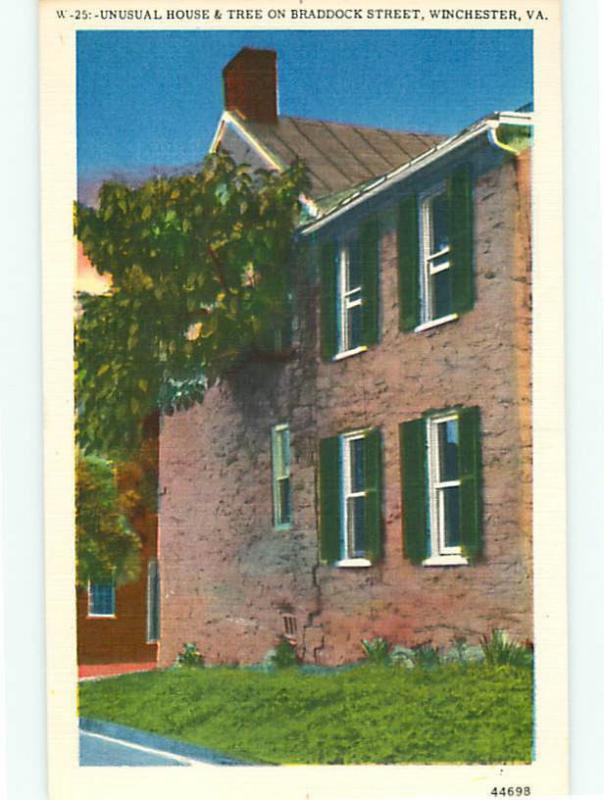 Winchester VA W-25 Brick Stone House Home Tree Braddock Street  Postcard # 5686