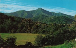 Mt. Pisgah North Carolina Postcard 2R5-448