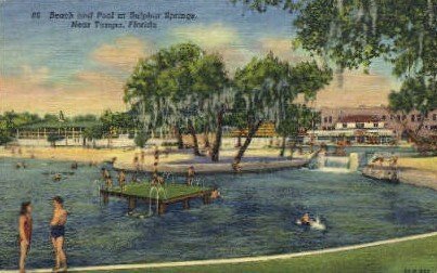 Sulphur Springs - Tampa, Florida FL