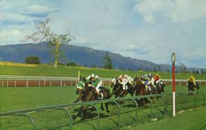 Santa Anita Park Arcadia CA Los Angeles Horse Racing Race Track Postcard D23