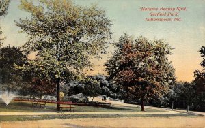 INDIANAPOLIS, Indiana IN   GARFIELD PARK Nature's Beauty Spot ca1910s Postcard