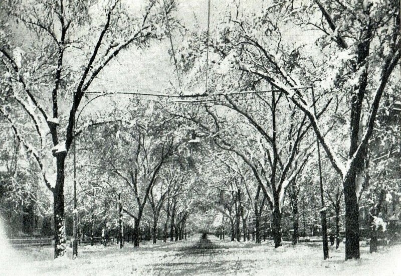 1906 The Great Snow Storm On Broad Street Columbus, OH Postcard F80 