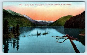 CEDAR LAKE, WA Washington  LAKE VIEW~ Seattle's Water Supply  c1910s   Postcard