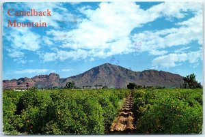 M-44929 Camelback Mountain Phoenix Arizona USA