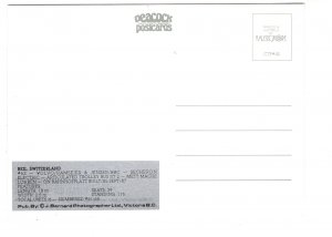 Trolley Bus, Biel, Switzerland