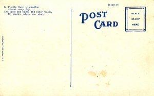 FL - De Land. College Arms Hotel