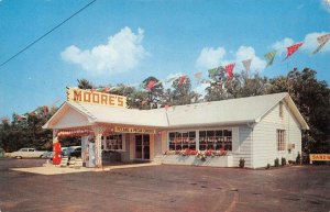 MOORE'S Lenoir City, TN Roadside Store & Gas Station c1950s Vintage Postcard