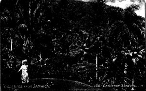 1910s Greetings from Jamaica Castleton Gardens XII Postcard