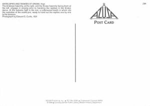 Antelopes & Snakes - Oraibi, Hopi