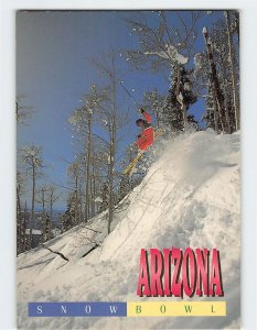 Postcard Arizona Snowball, Flagstaff, Arizona