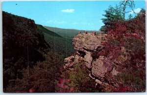 Postcard - Cloudland Canyon State Park - Rising Fawn, Georgia