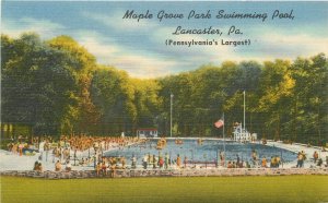 Pennsylvania Lancaster Maple Grove Park Swimming Pool 1940s Postcard 22-10310