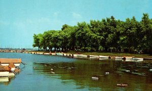 1950's Battery Park Sailing Boat Basin Sandusky Ohio Vintage Postcard P35