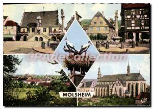 Modern Postcard Molsheim Place de l'Hotel de Ville General view muse