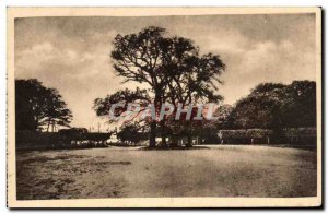 Old Postcard Fontainebleau Forest Crossroads of the king's table