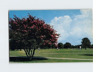 Postcard Municipal Golf Course at Ocean View, Norfolk, Virginia