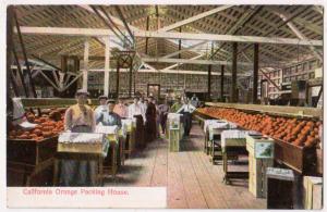 Orange Packing House, Ca