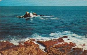 California San Francisco Laguna Beach 1968