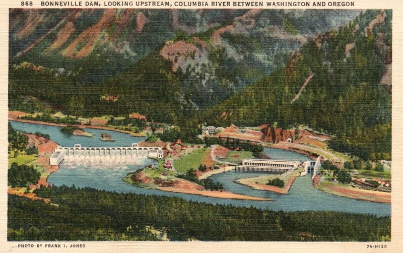 Oregon, Bonneville Dam Looking Upstream Columbia River, Vintage Postcard