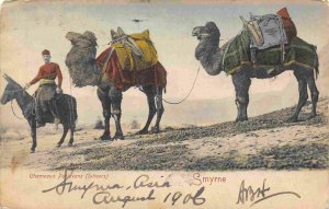 Camels Chameaux Pehlavan Lutteurs Smyrna Turkey 1906 postcard