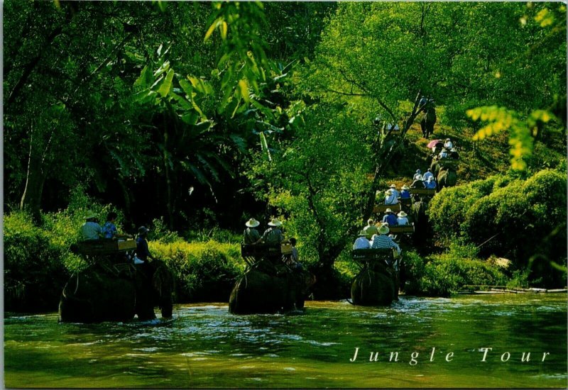 Thailand Postcard - Elephants on a Jungle Tour, North Thailand  RRR270