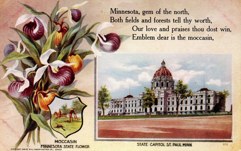 MN - State Flower & Capitol. Mocassin & St Paul