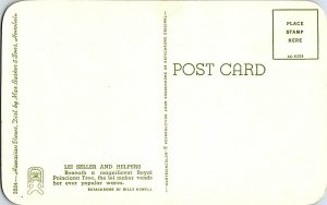 Lei Seller and  Helpers Royal Poinciana Tree Vintage Postcard Standard View Card 