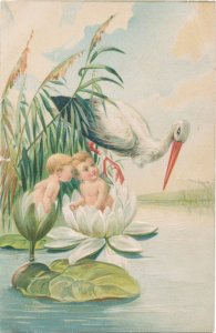 A Stork Checks On Two Babies On Lillie Pads In A Pond 1910 Postcard