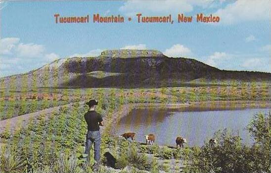 New Mexico Tucumcari Tucumcari Mountain