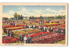 Holland Michigan MI Postcard 1930-1950 Nelis Tulip Farm
