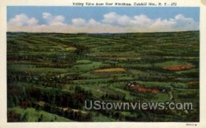 Valley - East Windham, New York NY  