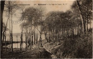 CPA Rotheneuf Le bois du Lupin FRANCE (1015272)