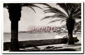 Old Postcard View from Menton Garavan Boulevard