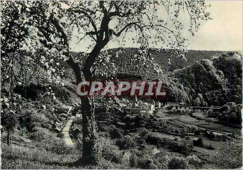 Postcard Modern Semois Bohan Vue Generale