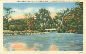 Silver Springs, Florida, Glass Bottom Boat, Linen, Unused
