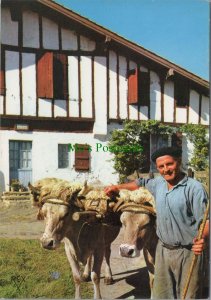 France Postcard - Pays Basque, Attelage Devant La Ferme  RR20240
