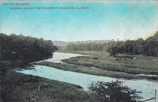 Illinois Cattle Grazing Scenes Along The Country Roads In Illinois 1913