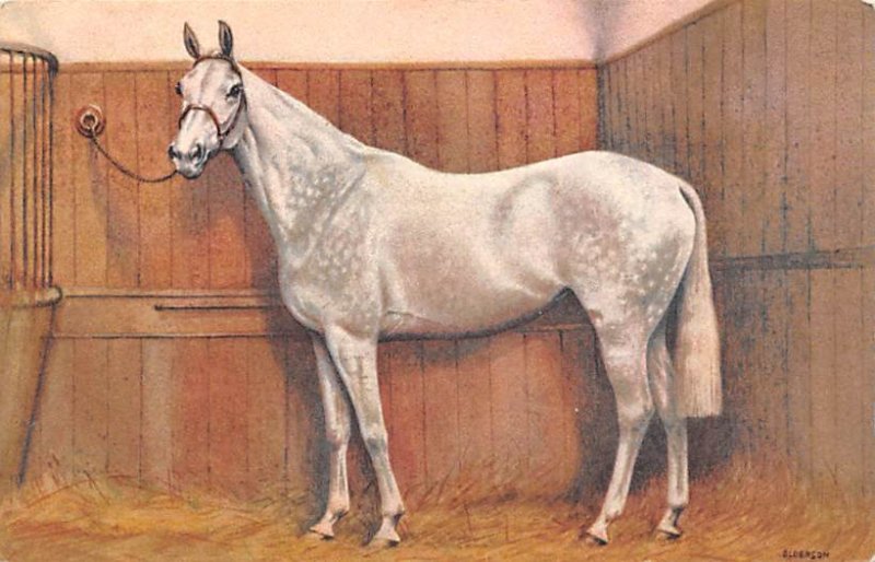 White Horse but Alderson Horse Unused 
