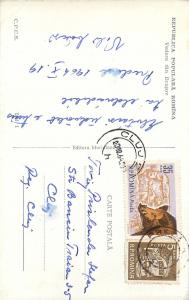 Romania Brasov panorama boar pig stamp