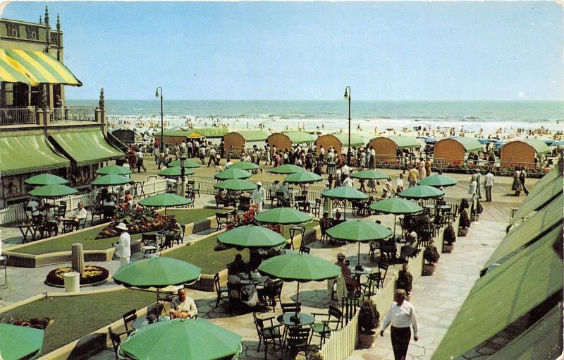 Atlantic City New Jersey~Hotel Dennis~Lots of Outdoor Seating-Beach View~1950s