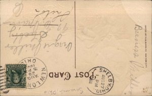 Savannah Georgia GA Floral Greeting Embossed c1910s Postcard