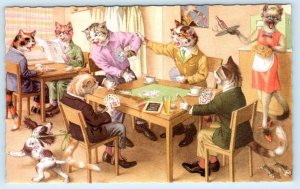 MAINZER DRESSED CATS & Kittens PLAYING CARDS #4983 Belgium Postcard